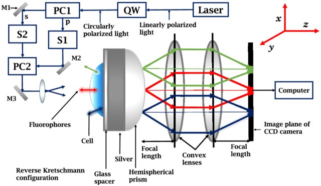 Schematic of the surface-plasmon-coupled-emission imaging setup in reverse Kretschmann configuration
