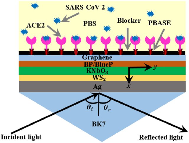 Graphene surface-plasmon-resonance sensor for SARS-CoV-2 S-protein detection