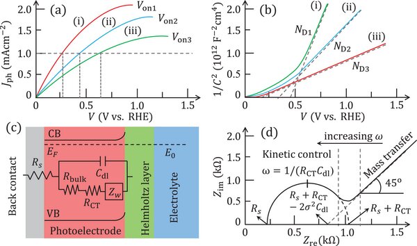 Photocurrent and Mott-Schottky characteristics with the equivalent-circuit and impedance response of the photoelectrode