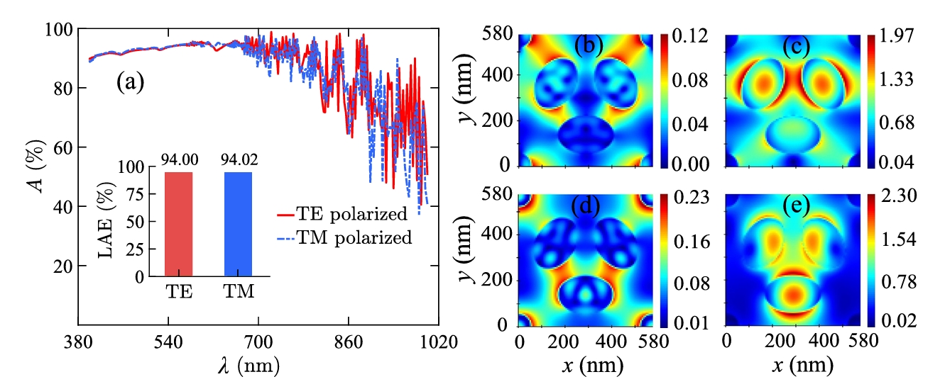 Broadband absorption and field distributions in the Chlamydomonas-inspired thin-film silicon solar cell