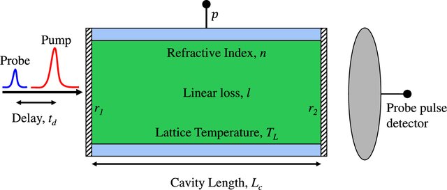 Schematic of the simulated pump-probe experiment on a quantum cascade laser cavity